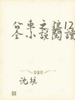 公车之狼12集全小说阅读