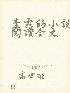 李霖的小说免费阅读全文