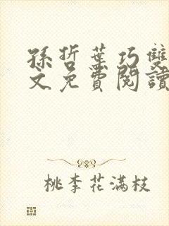 孙哲叶巧双修全文免费阅读笔趣阁封面
