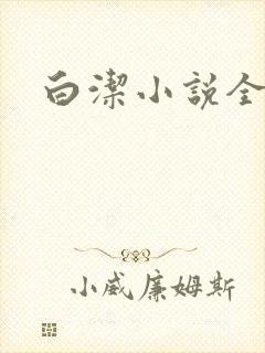 白洁小说全文