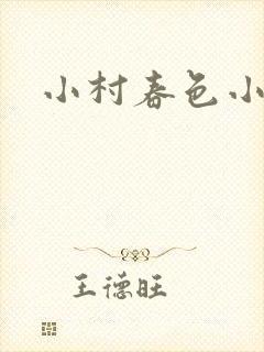 小村春色小说封面