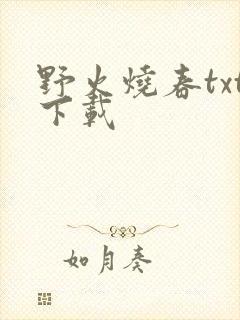 野火烧春txt下载