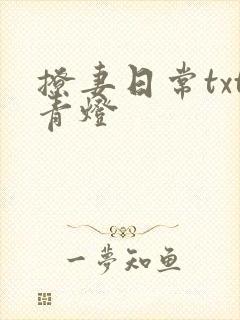 撩妻日常txt青灯