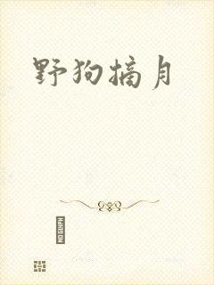 野狗摘月