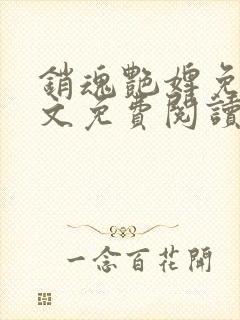 销魂艳婢免费全文免费阅读封面