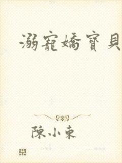 溺宠娇宝贝封面