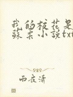 我的校花是福姬苏柔小说txt
