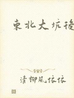 东北大坑后续2封面