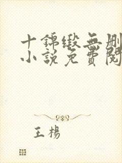 十锦缎无删原著小说免费阅读封面