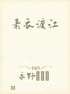 素衣渡江封面