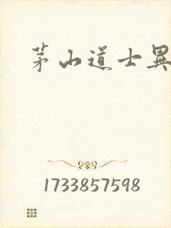 茅山道士异界游