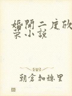 婚开二度欣欣向荣小说