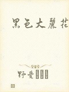 黑色大丽花图片