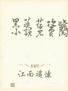 黑莲花攻略手册小说免费阅读封面