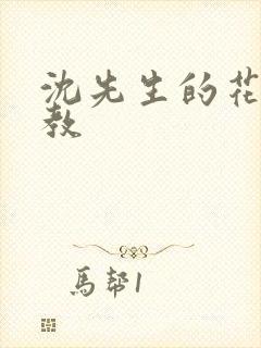 沈先生的花式调教封面