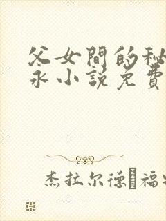 父女间的秘密赵永小说免费阅读封面