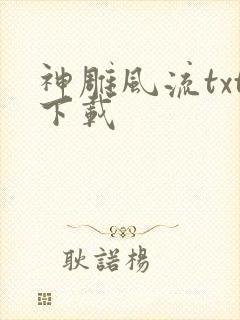 神雕风流txt下载封面