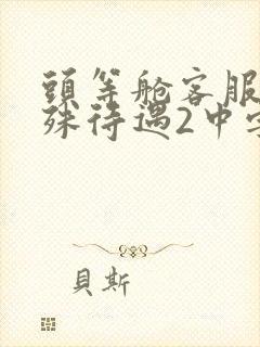 头等舱客服的特殊待遇2中字