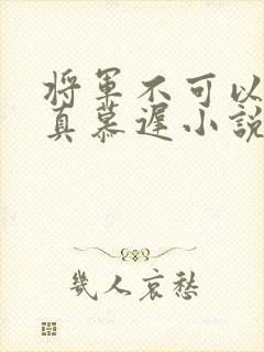 将军不可以魏云真慕迟小说笔趣阁