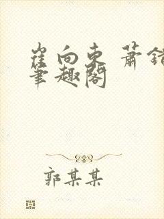 崔向东 萧错 笔趣阁封面