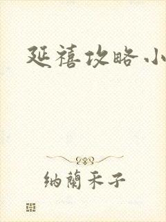 延禧攻略小说