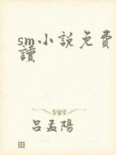 sm小说免费阅读封面