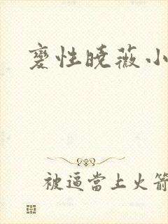 变性晓薇小说