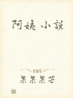 阿姨 小说