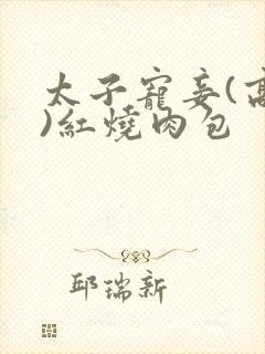 太子宠妾(高肉)红烧肉包封面