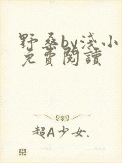 野桑by浅小说免费阅读