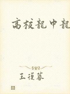 高校龙中龙