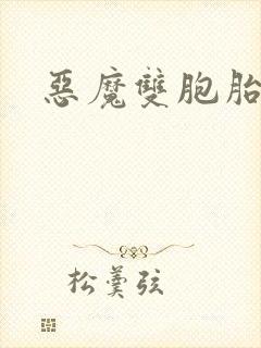 恶魔双胞胎封面