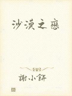 沙漠之恋封面