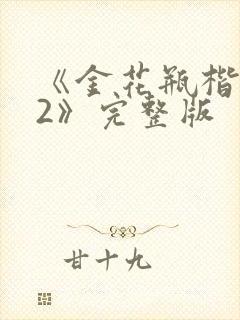 《金花瓶楷梅花2》完整版封面