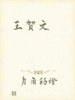 王贺文