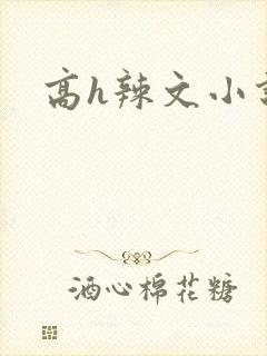 高h辣文小说