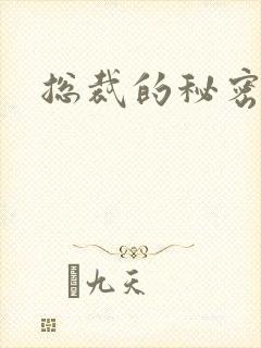 总裁的秘密情人