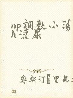 np调教小荡货h灌尿