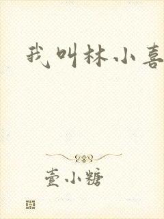 我叫林小喜17