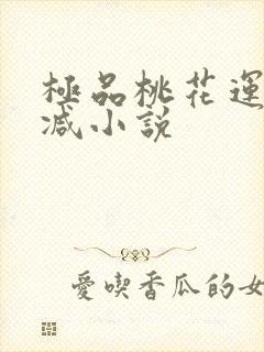 极品桃花运未删减小说