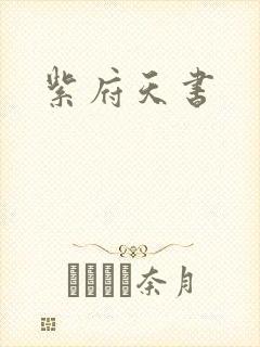 紫府天书