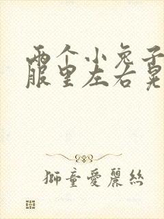 两个小兔子在衣服里左右晃封面