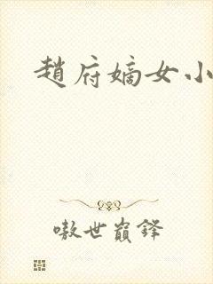 赵府嫡女小说