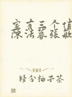 家有三个俏媳妇陈法蓉张敏
