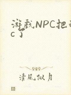 游戏NPC把我c了
