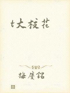 t大校花