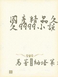 国产精品久久久久9999小说封面