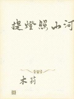 提灯照山河