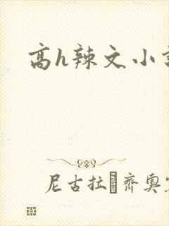 高h辣文小说