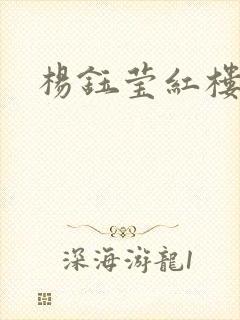 杨钰莹红楼封面